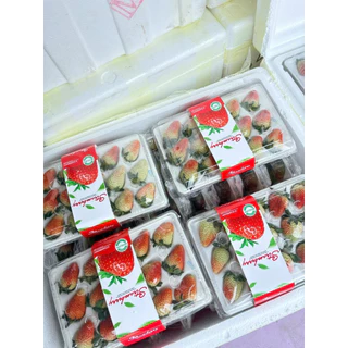 ส่งด่วน 4 ชม. สตอเบอร์รี่จีน สตอเบอร์รี่นำเข้าจากประเทศจีน แพ็คละ 15 ลูก หวานอมเปรี้ยว น้ำหนัก 350 กรัม ตู้ใหม่ สวย สด