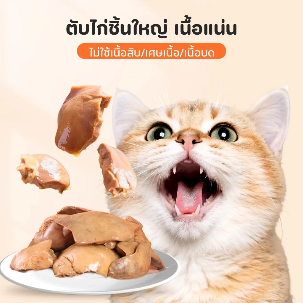 ขนมสัตว์เลี้ยง ตับไก่+น้ำมันปลา 40g สุนัขและแมว thumbnail 7