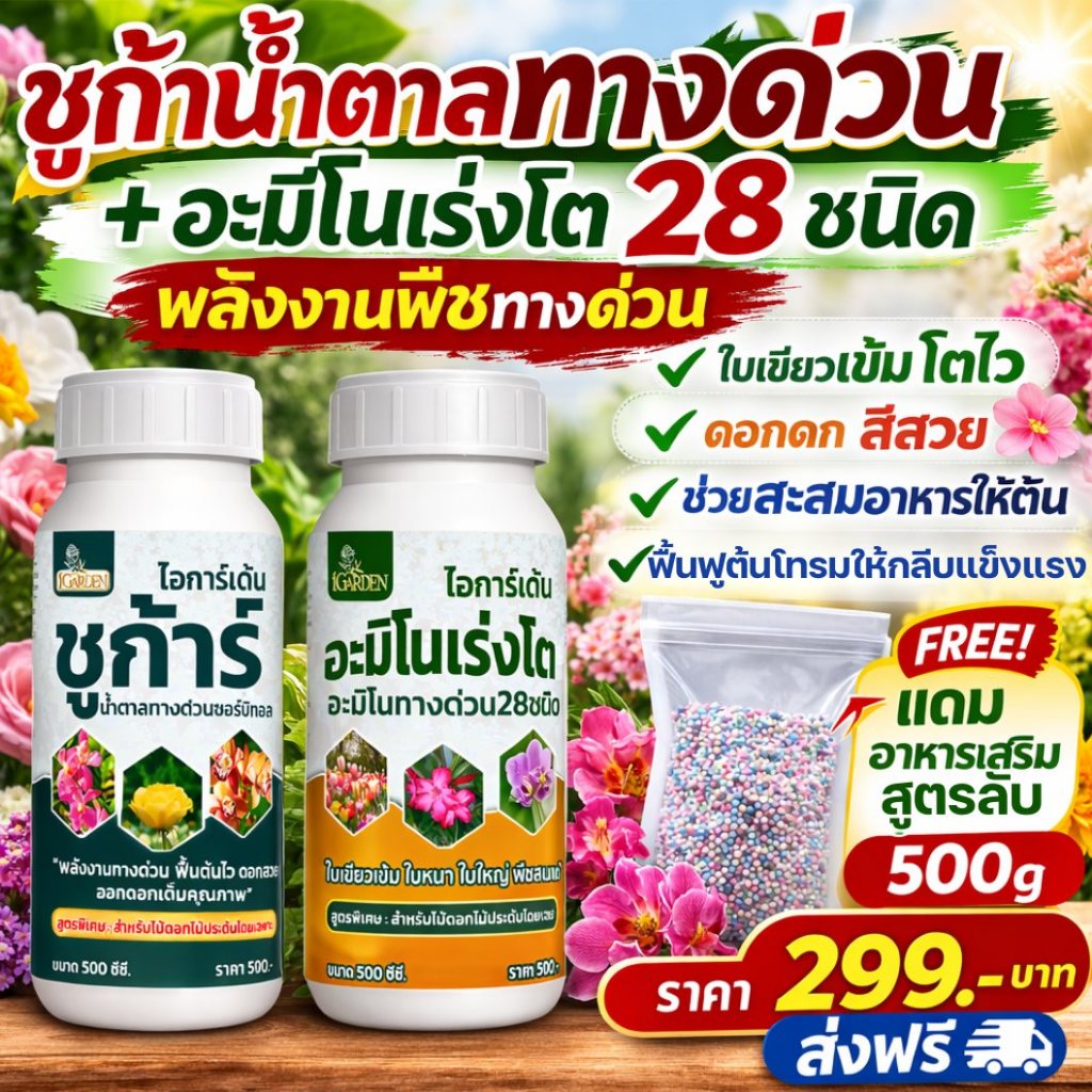 ชูก้าร์ น้ำตาลางด่วน และ อะมิโนเร่งโต โตไว ใบสวย ต้นสมบูรณ์   500ซีซี (1ชุดได้2ขวด) แถมปุ๋ยเม็ด