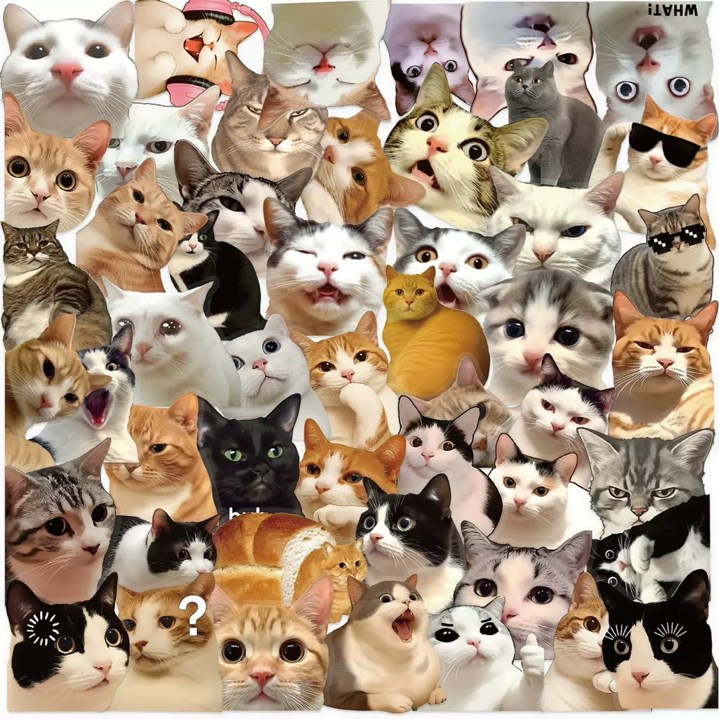 💥จัดส่งไว💥(269)สติกเกอร์ตกแต่งรูปมีมแมวกวนๆ 50 ดวง