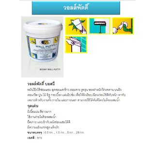 เคมีโป้ว สีโป้ว บอสนี่ BOSNY Wall Putty B219 ขนาด 0.5kg. SB+