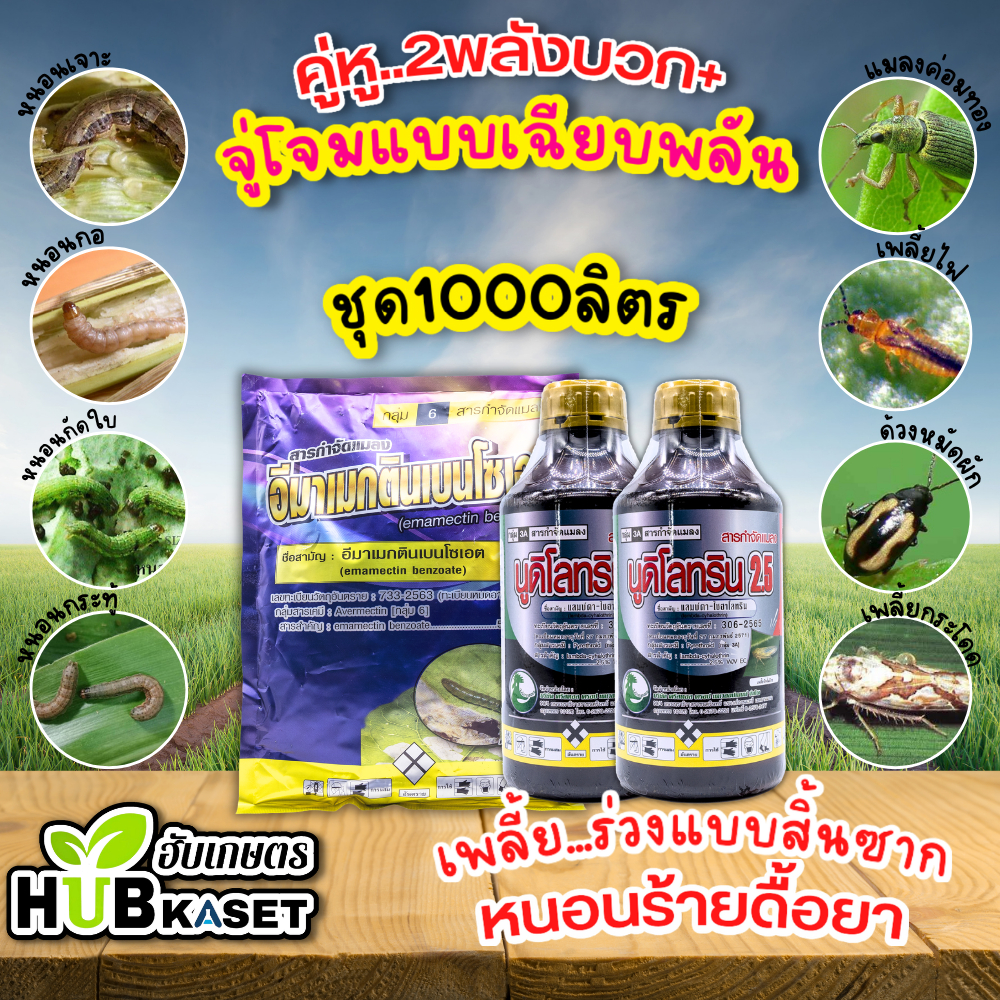 ชุดคู่หู2พลังบวก อีมาเมกตินเบนโซเอต(ไก่เกษตร)+นูดิโลทริน2.5 1กิโลกรัม+1ลิตร*2ขวด เพลี้ยน็อคร่วงแบบสิ้นซาก