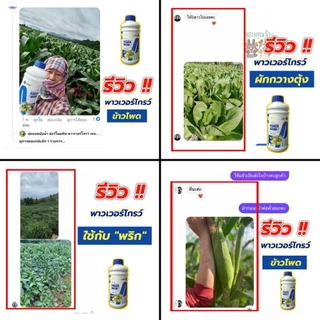 พาวเวอร์โกรว์#PowerGrow#1ลิตรแถม500cc