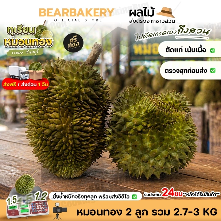 📌 ส่งฟรี-ส่งด่วน📌ทุเรียนหมอนทอง จันทบุรี 2.7-3kg(2-3ลูก) คัดแก่ เนื้อแน่น พร้อมวิดีโอชั่งน้ำหนักจริงทุกลูก