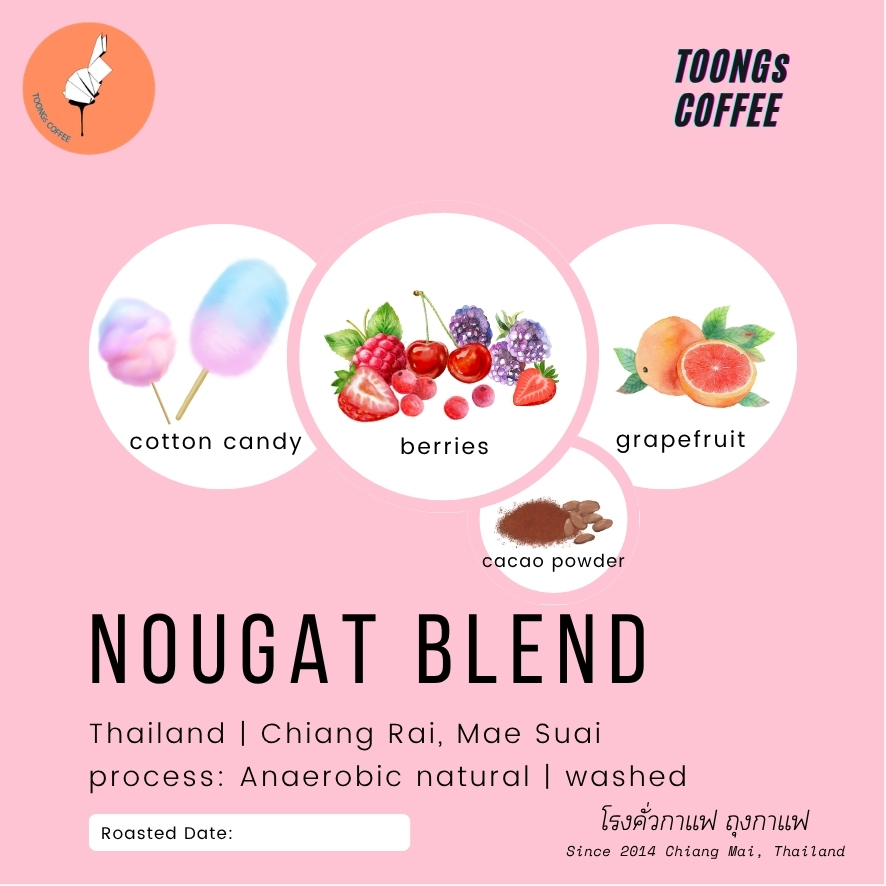 TOONGsCoffee เมล็ดกาแฟคั่วอาราบิก้า Nougat Blend