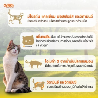 (1 แถม 1) Ostech ออสเทค พรีเมี่ยม อาหารเม็ดแมวโตออสเทค พรีเมี่ยม 900 g