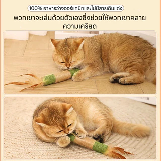 38cm อันใหญ่มาก ไม้มาทาทาบิ ขัดฟันแมว ของเล่นแมว 6แบบ Matatabi แคทนิปญี่ปุ่น ลดคราบหินปูน ไม้แมวเมา