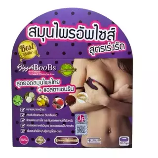 สมุนไพร ลดแขน/อัพไซส์/เซลลูไลท์/เร่งรัด/ลดหน้าท้อง มี 5 ตัวเลือกจ้า