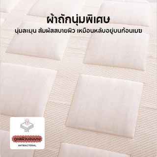 หมอนถัก หมอนสุขภาพ ลดอาการปวด ผ้าฝ้ายแท้ 100% นุ่ม ฟู เด้ง 5 วินาที กันไรฝุ่น ต้านแบคทีเรีย