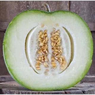 เมล็ดพันธุ์ฟักหอมใบเตย100เมล็ด69บาท