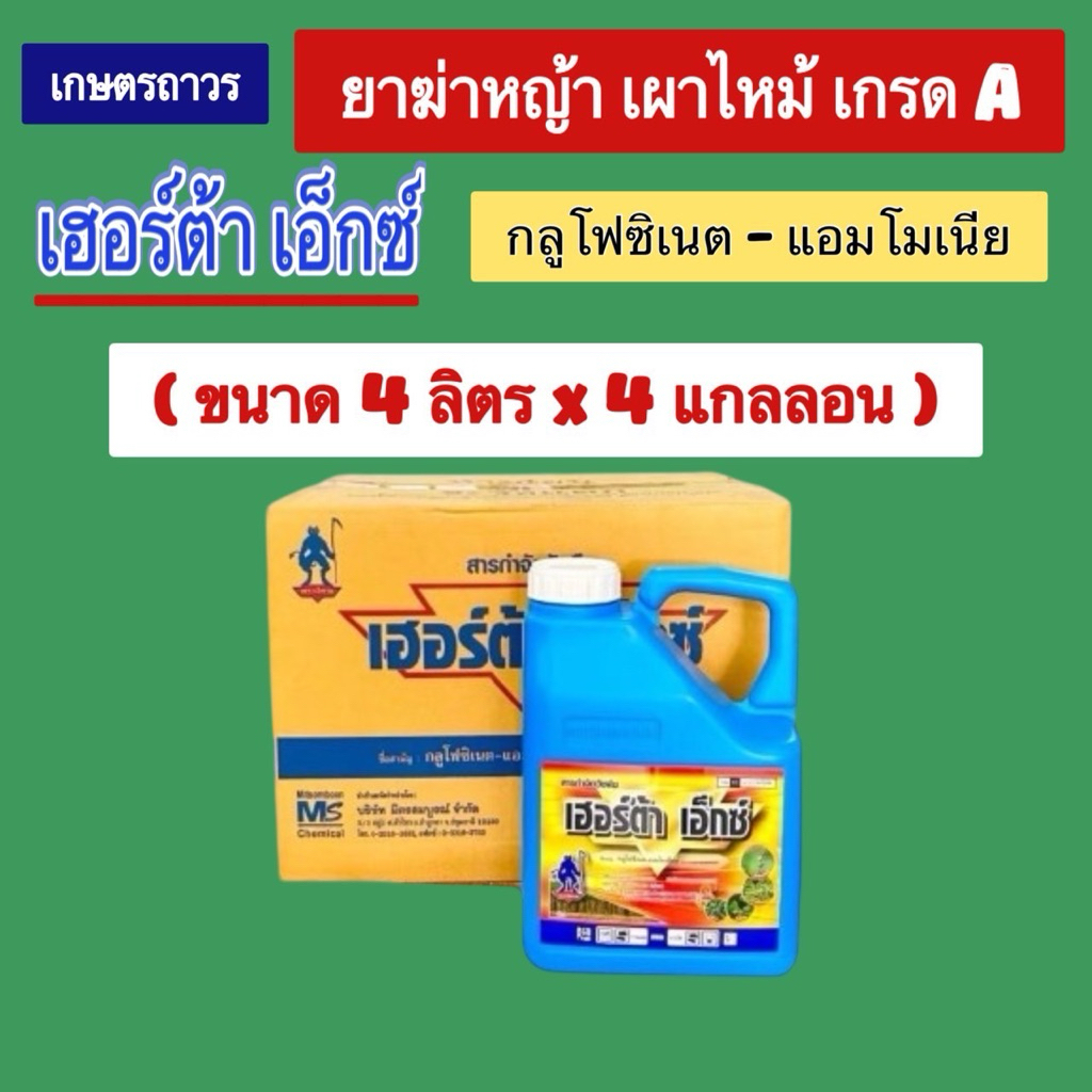 เฮอร์ต้าเอ็กซ์🔥🔥ยกลัง(4ลิตร x4กล)(กดออเดอร์แค่ 1 ลังนะคะ)สารกลูโฟซิเนตแอมโมเนียม ยาฆ่าหญ้าเผาไหม้เนื้อเกรดA  หญ้าตายไว