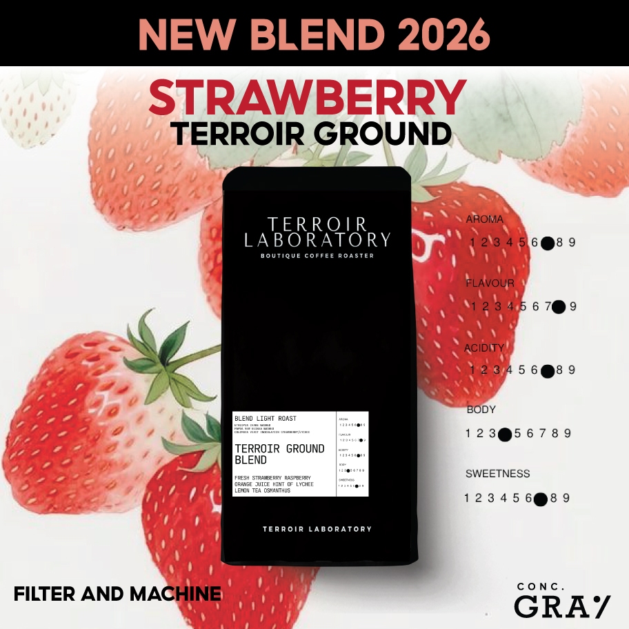 Strawberry Terroir Ground Blend 200 กรัม เมล็ดกาแฟโทนผลไม้  คั่วอ่อน Fresh Strawberry, Raspberry Tastenote