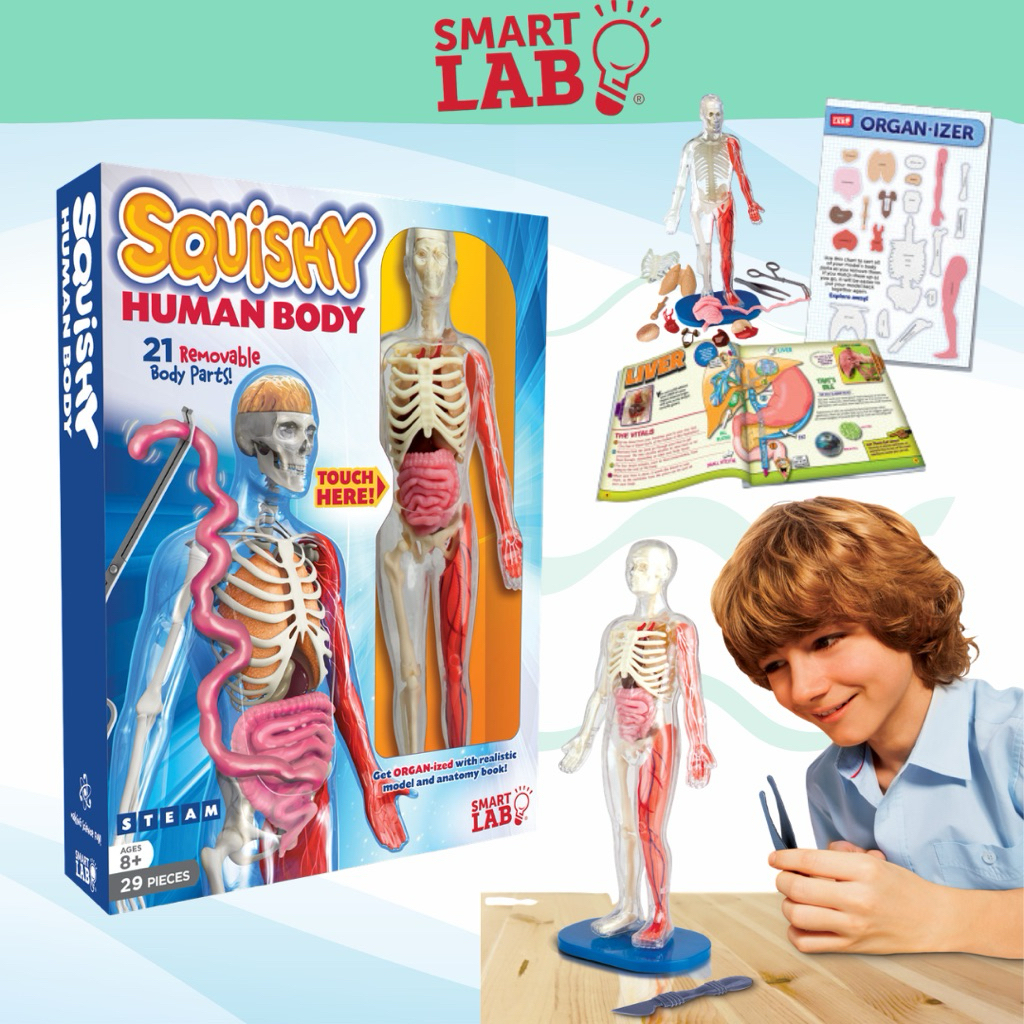 Smart Lab Toys Squishy Human Body Science Set for Children