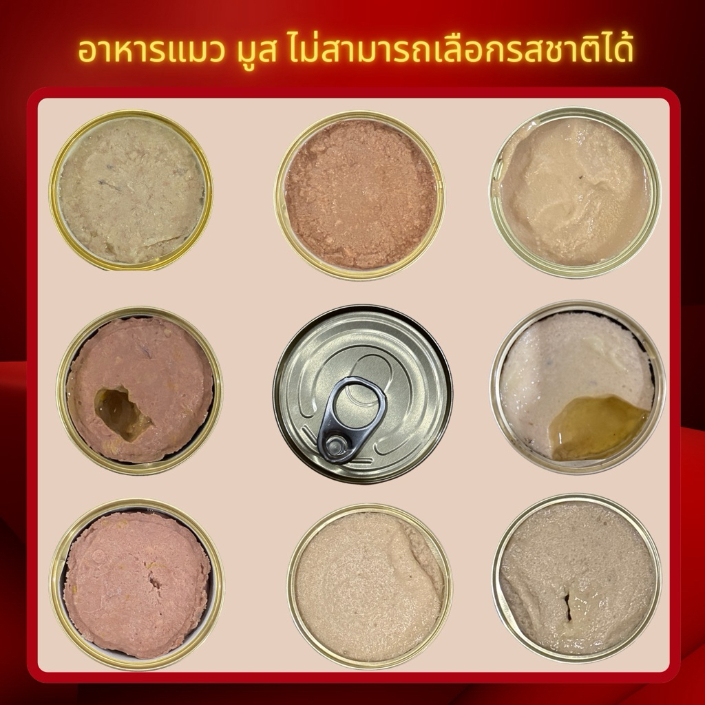 อาหารแมวกระป๋องเปลือย มูส 9 บาท ขนาด 85 กรัม (สินค้าราคาโรงงาน)