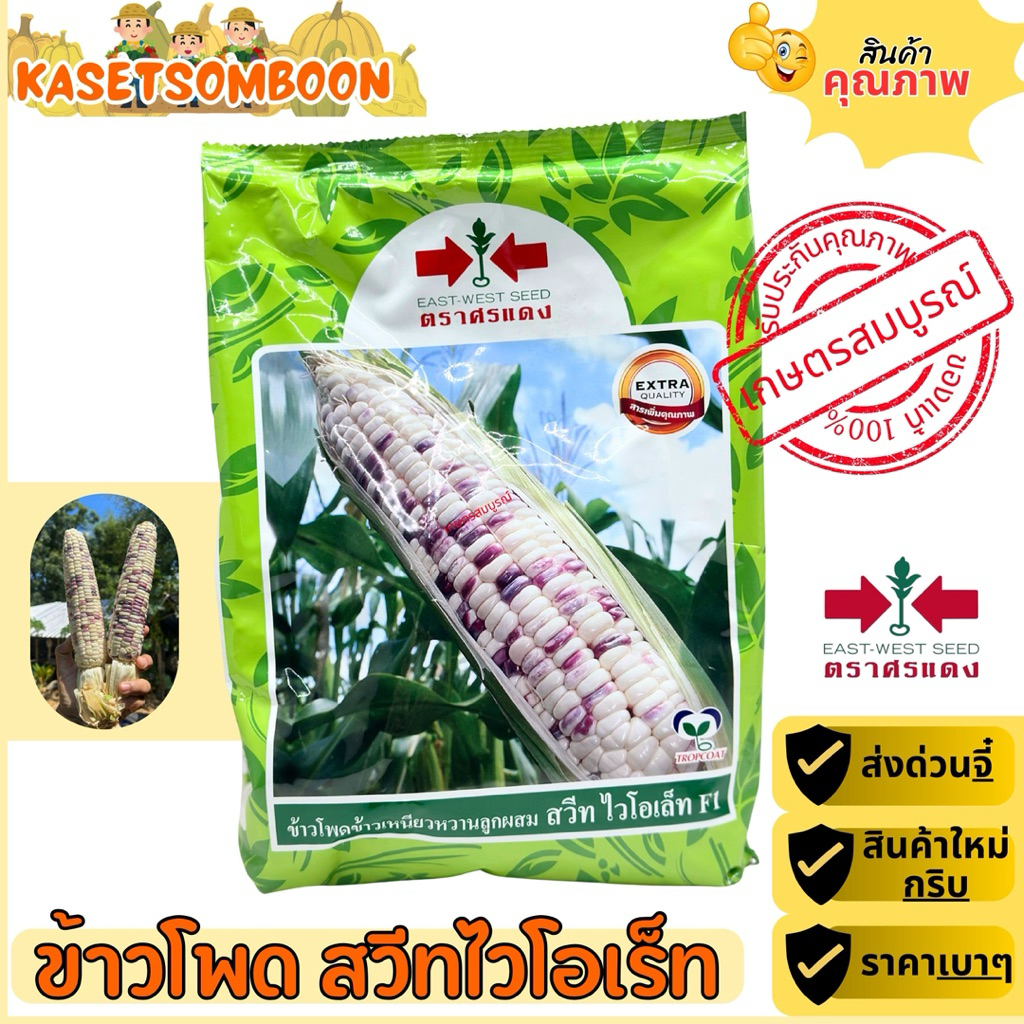 เมล็ดข้าวโพดข้าวเหนียว สวีทไวโอเล็ท ตราศรแดง ขนาด 1 กิโลกรัม