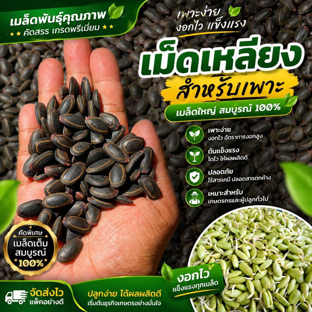 เม็ดเหลืองสำหรับเพาะ คัดพิเศษ ขนาด 200 กรัม