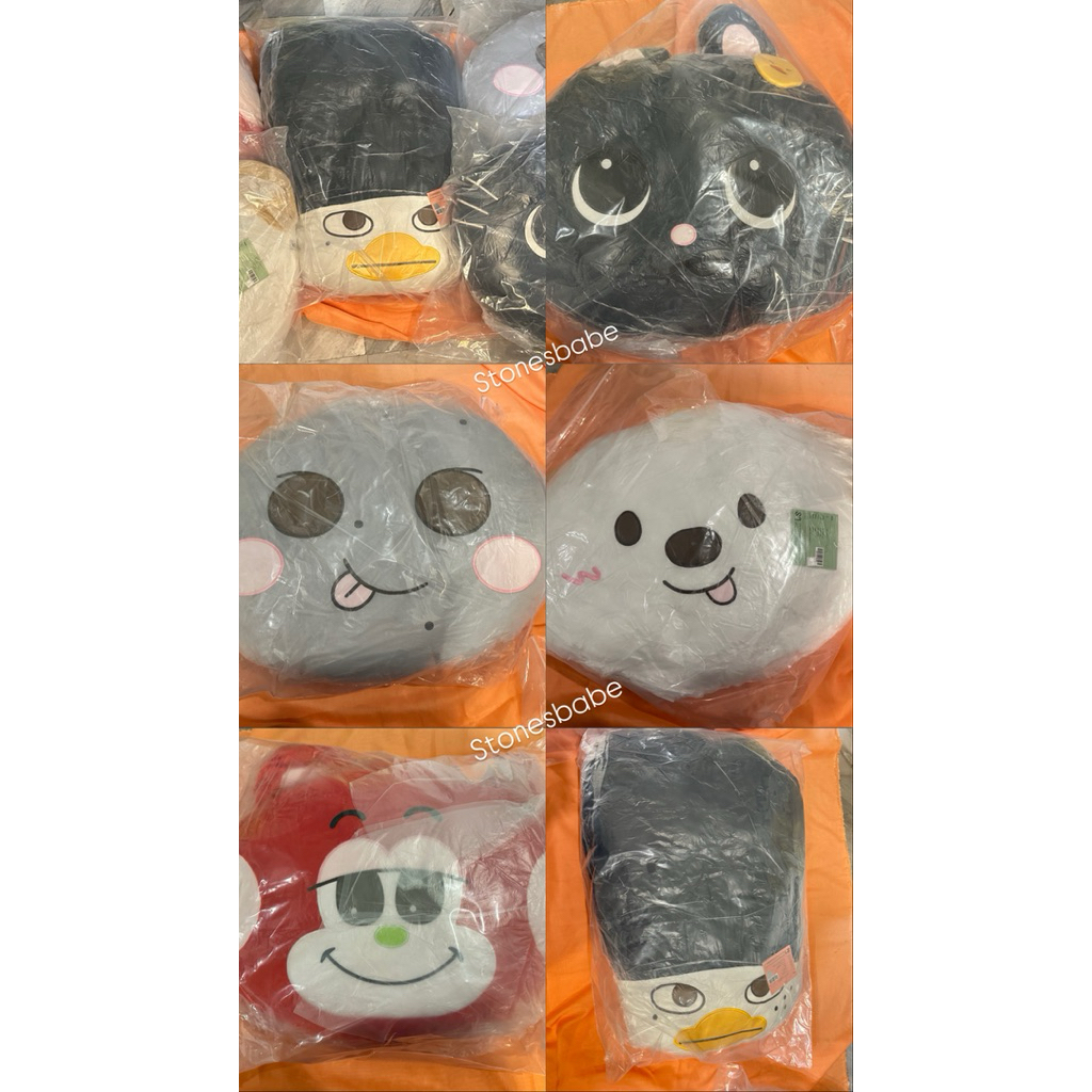 🧡พร้อมส่ง หมอน40cm Pillow RIIZE WONDERLAND POP-UP IN SHANGHAI