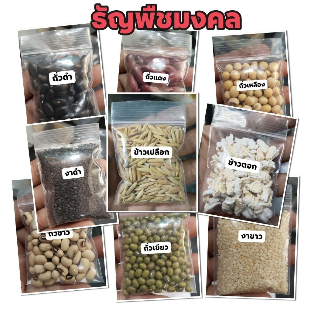 ใบไม้มงคล กว่า 50 ชนิด เพื่อใช้ในพิธีมงคลต่างๆ(ชนิดละ 9 รูปที่ 6
