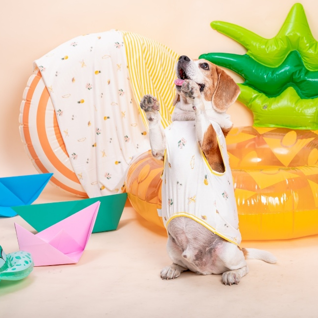 Favchild Aloha Pet Bodysuit (แขนกุด) | Pool Party Collection
