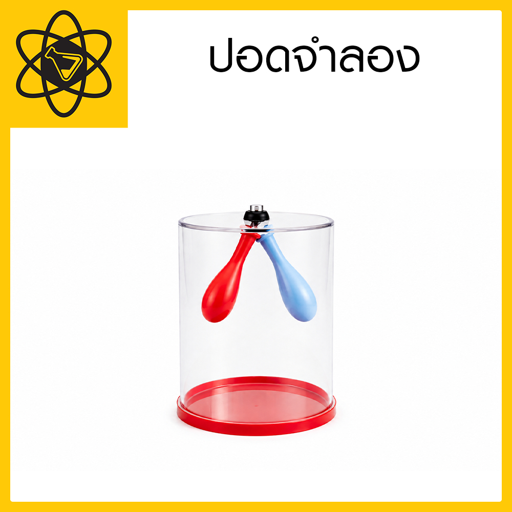ปอดจำลอง - สื่อการสอนวิทยาศาสตร์