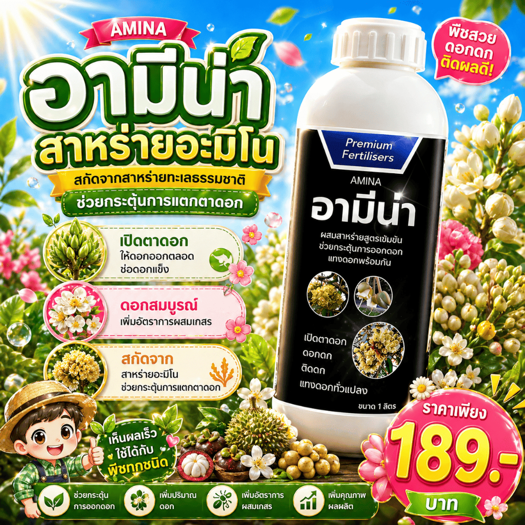อามีน่าเปิดตาดอก 1ลิตร เปิดตาดอกทุเรียน สาหร่ายอะมิโน ดอกดก ผลดก