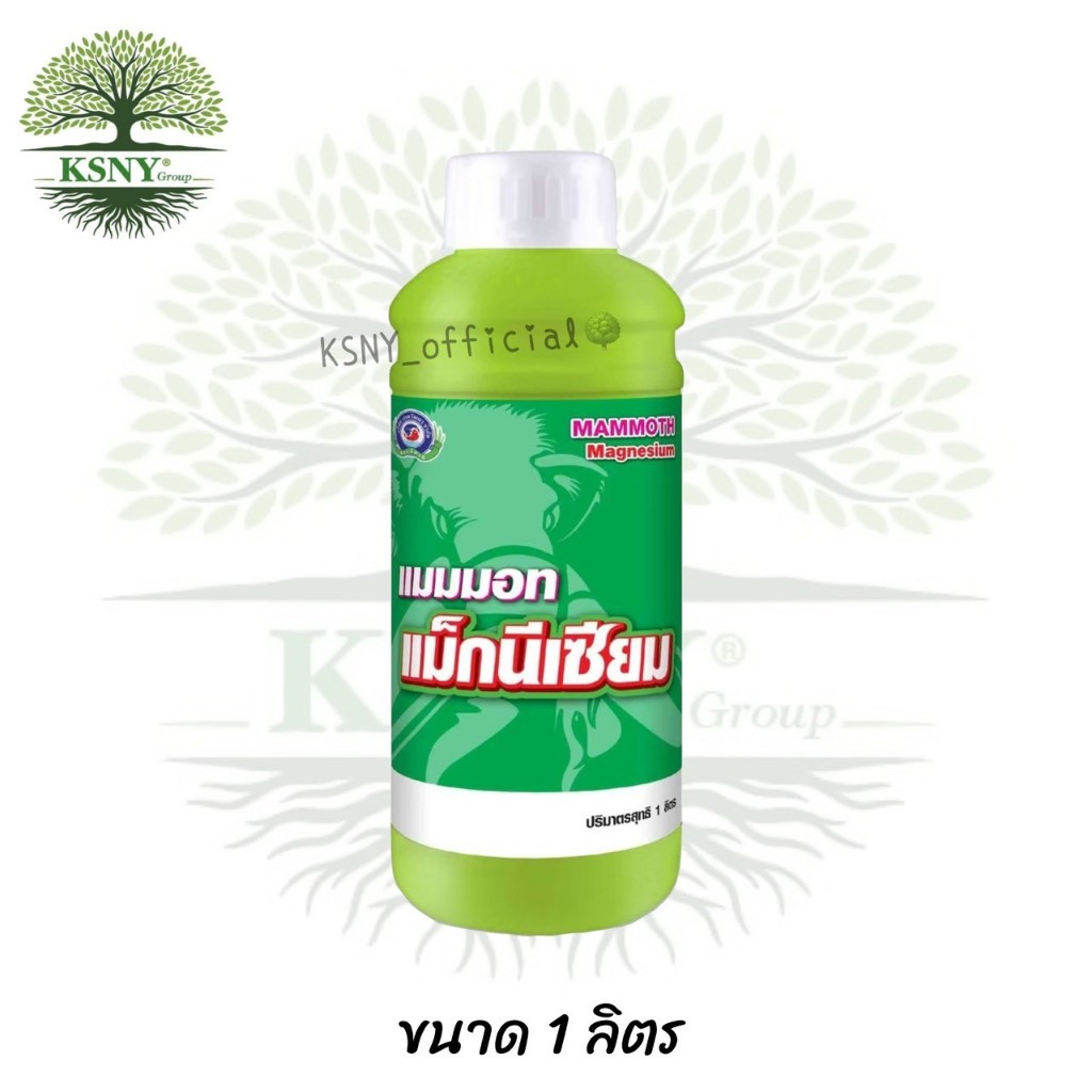 แมมมอท แม็กนีเซียม  (ขนาด 1 ลิตร) เทพวัฒนา ช่วยส่งเสริมกระบวนการสังเคราะห์แป้ง ไขมัน และโปรตีน