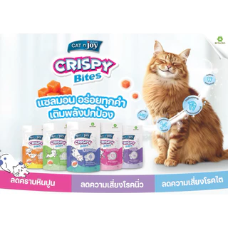 Cat’n Joy Crispy Bites ❤️😸ขนมแมวกรุบกรอบ คริสปี้ ไบท์ แสนอร่อยน้องแมวหลงรักบรรจุ 50g-60g