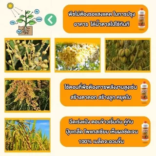 อีซี่ พาส (Easy Pass) สารเพิ่มประสิทธิภาพพืชสูตรเข้มข้น
