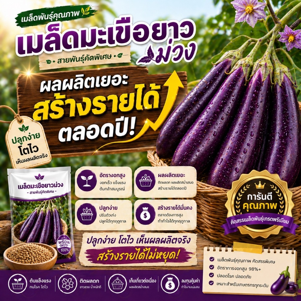เมล็ดพันธุ์มะเขือยาวสีม่วงคุณภาพงอก100%