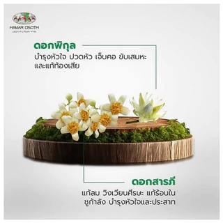 [ใหญ่] ห้าม้า ยาหอมเทพจิตร (เม็ดอม) ขนาด 100เม็ด/1ขวด