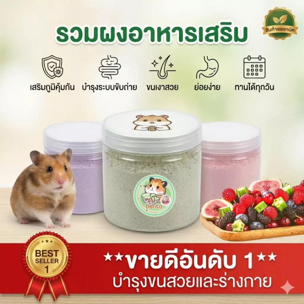 Hamterthailand ผงซุป อาหารเสริม อาหารแฮมสเตอร์ นมแพะ ซุปผลไม้ ซุป Bento