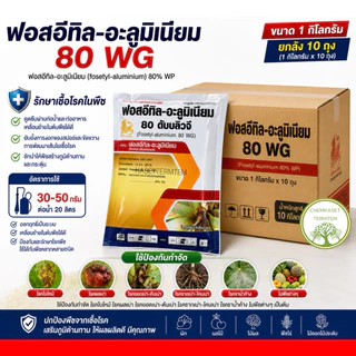 ละลายน้ำง่าย☘️ฟอสอีทิล 80% wG☘️1กิโลกรัม*10 กก (ยกลัง)โรครากเน่าโคนเน่า ผลเน่า ไฟท็อปธอร่า ราน้ำค้าง
