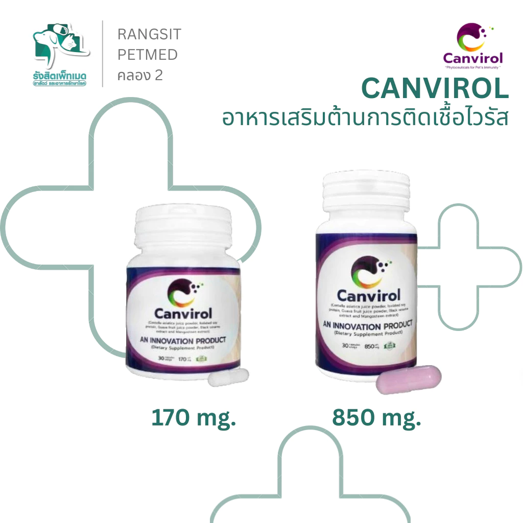 Canvirol อาหารเสริมสัตว์เลี้ยง เสริมภูมิคุ้มกัน ต้านไวรัส เอดส์แมว ลิวีเมย และมะเร็ง สำหรับสุนัขและแมว