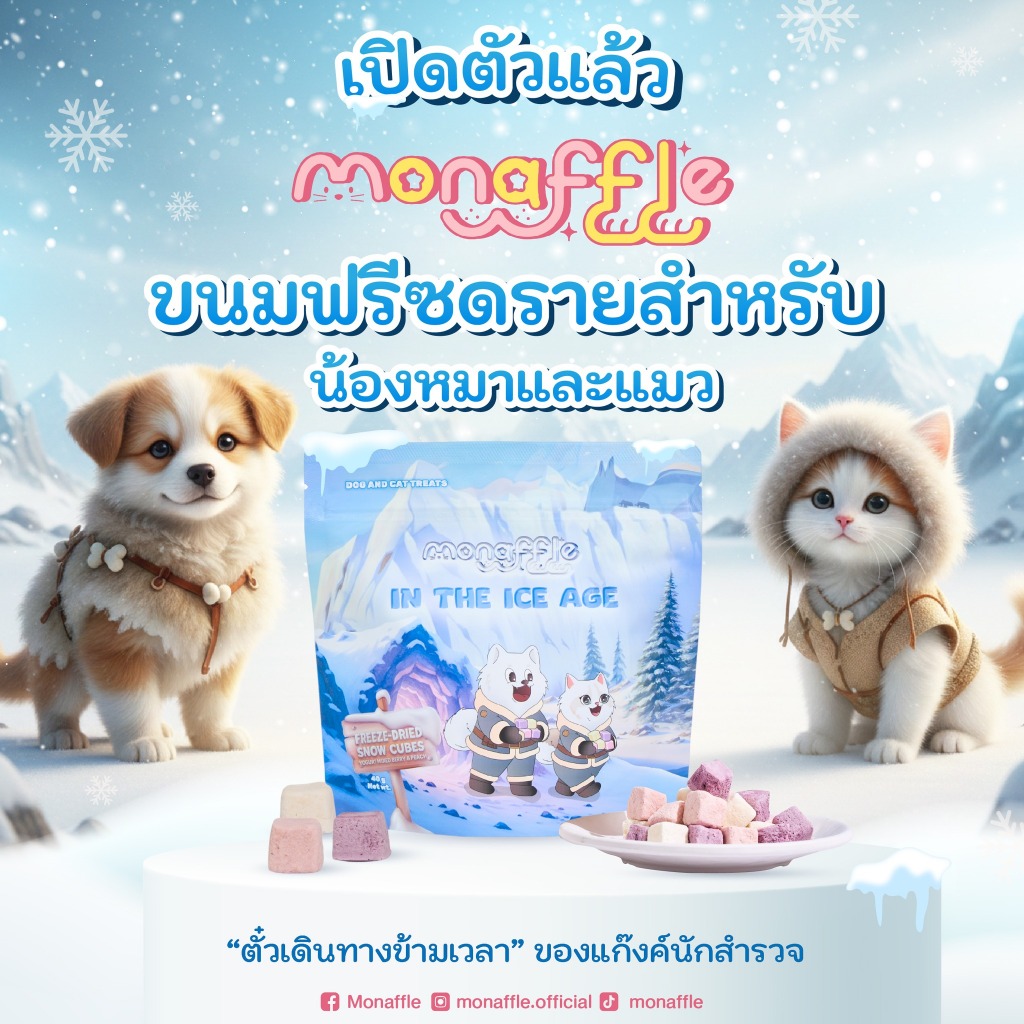 monaffle in the ice age