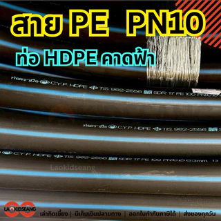 สาย PE ท่อเกษตรพีอี ไชโย PN10 แรงดัน 10บาร์ ท่อ HDPE คาดฟ้า ขนาด 40 50 63 มิล ยาว 50 ม. 100 ม. มอก