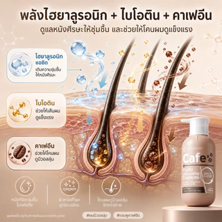 CNMOFAXIN แชมพูคาเฟอีน 730ml สูตรคาเฟอีน ไบโอติน ไฮยาลูรอน เพิ่มวอลลุ่ม ผมลีบแบนดูหนานุ่ม