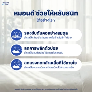 Dreamstown หมอน หมอนหนุน ใยฟู นุ่มสบาย เกรดคุณภาพ ทำจากโพลีเอสเตอร์ Polyester Pillow