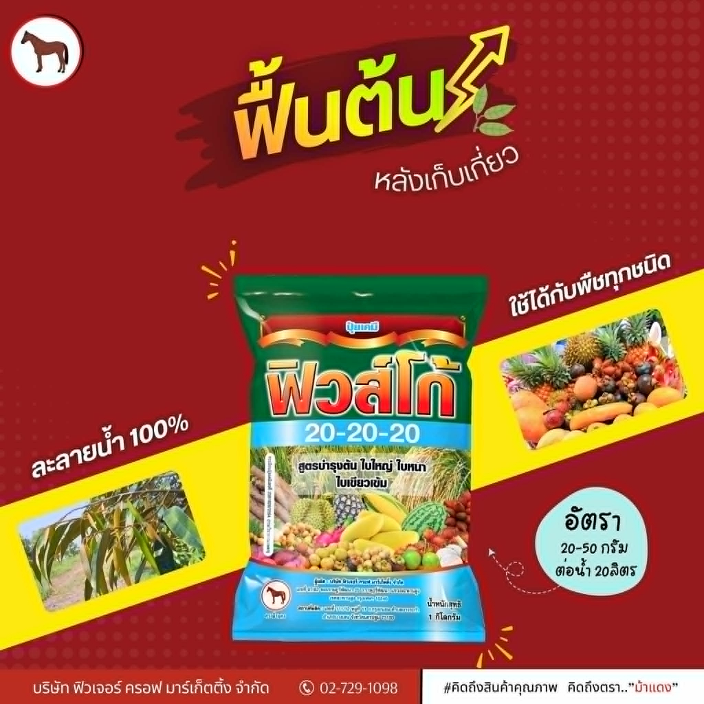 ฟิวส์โก้ 20-20-20 (ปุ๋ยเกร็ด) สูตรเสมอ บำรุงทุกส่วนของต้นพืช ขนาด 1 กิโลกรัม