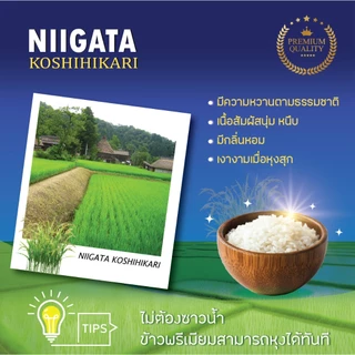 SHINMEI NIIGATA KOSHIHIKARI RICE ข้าวญี่ปุ่นพรีเมี่ยม (ข้าวโคชิ ฮิคาริ) ข้าวที่ไม่ต้องล้างก่อนหุง