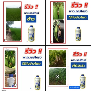 พาวเวอร์โกรว์#2แถม1ขวด