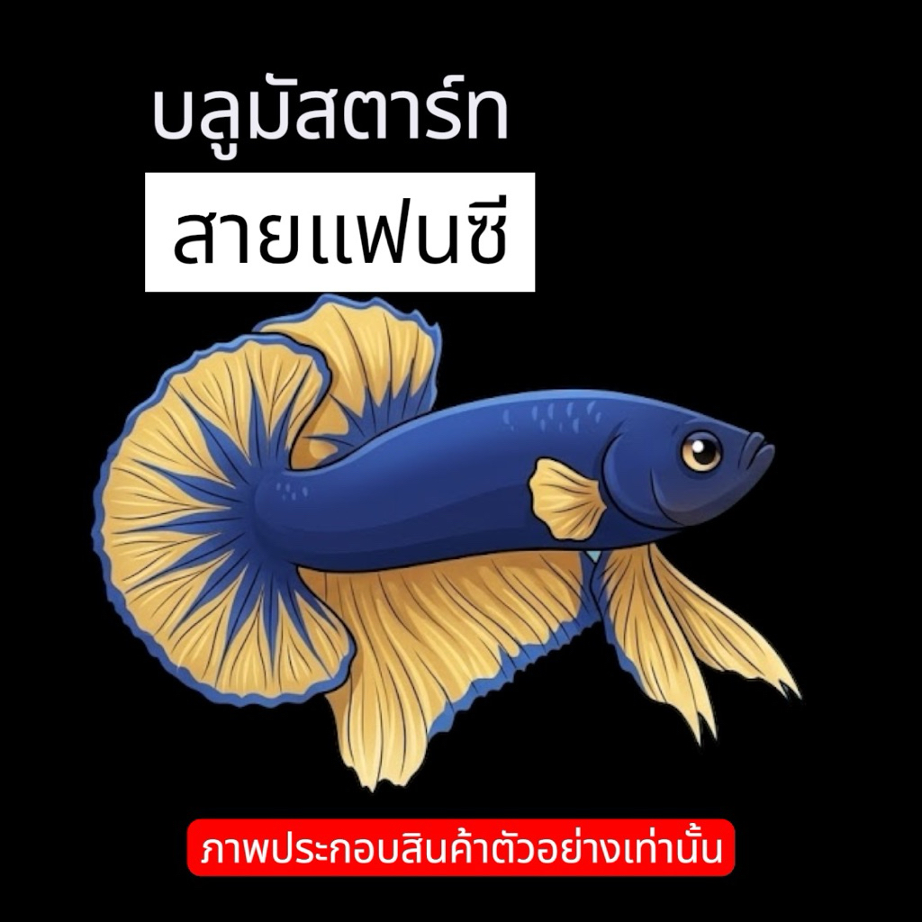 บลูมัสตาร์ท ตกแต่งตู้ปลาได้สวยงาม