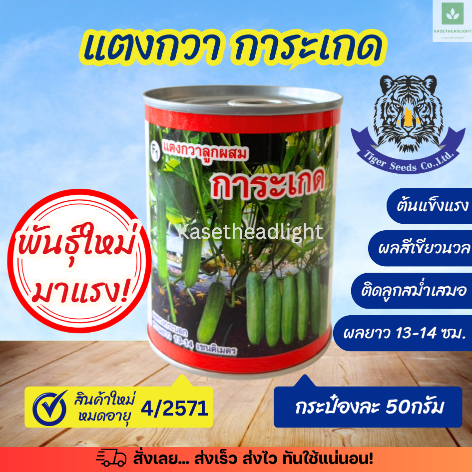 ใหม่! เมล็ดพันธุ์แตงกวา การะเกด กระป๋องละ 50กรัม (ตราเสือ Tiger seeds)