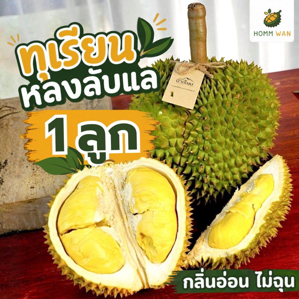 ทุเรียนหลงลับแล 3 ลูก 3.8-4.0kg กลิ่นอ่อนไม่ฉุน ทุเรียนคุณภาพสูง รสชาติอร่อย สดใหม่ สำหรับผู้ที่รักทุเรียน