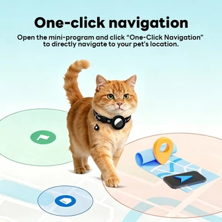 Actual ปลอกคอ GPS เปลี่ยนแบตเตอรี่ได้ ปลอกคอแมว ติดตามระยะทางไม่จํากัด รางรถจักรยานยนต์ only ios