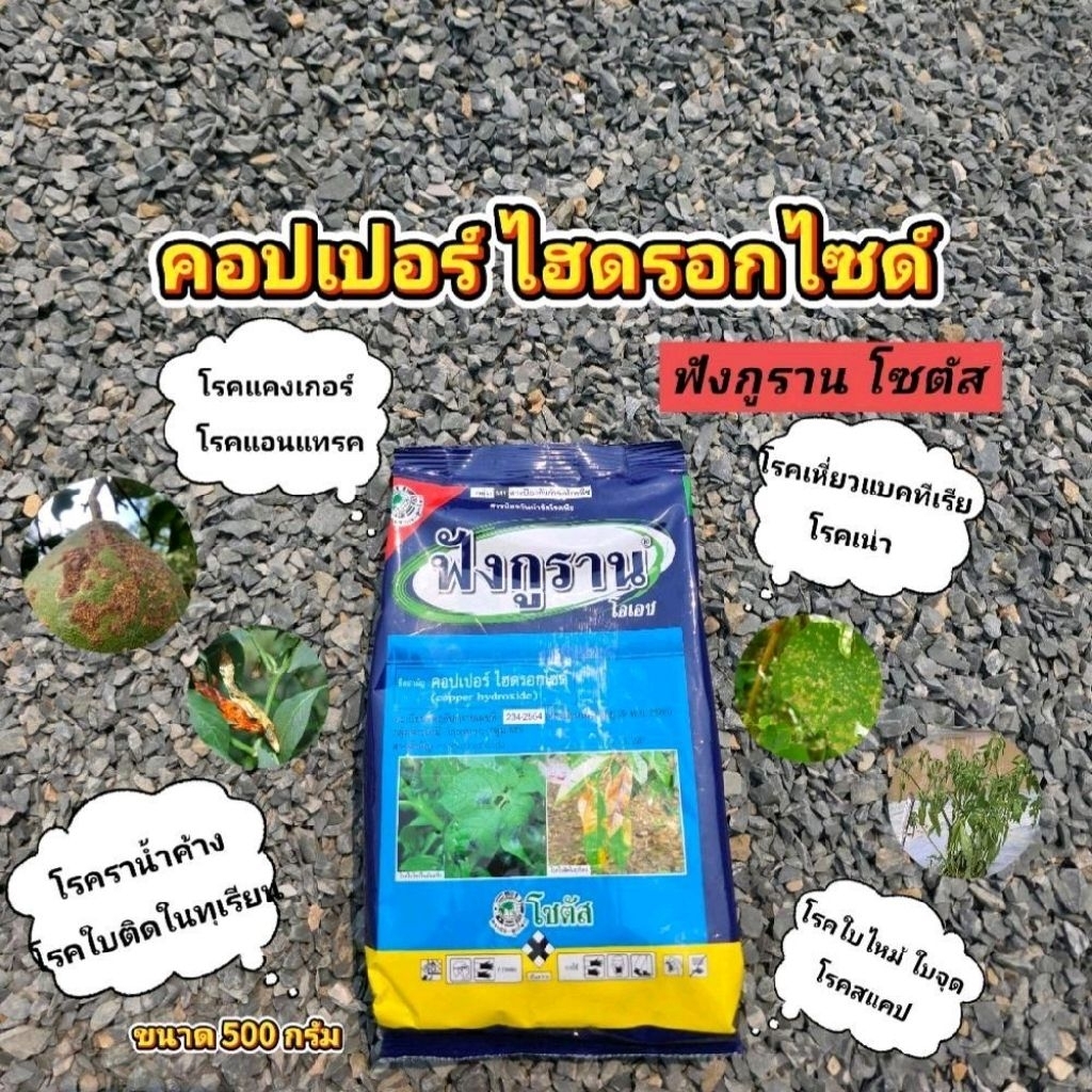 ฟังกูราน - คอปเปอร์ ไฮดรอกไซด์ สารป้องกันกำจัดโรคพืชที่เกิดจากเชื้อราและแบคทีเรีย สูตรทนฝน ขนาด 500 กรัม