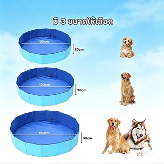 PETWELL สระว่ายน้ำพับได้ สระอาบน้ำสุนัข PVC หนา พกพา สระน้ำสัตว์เลี้ยง
