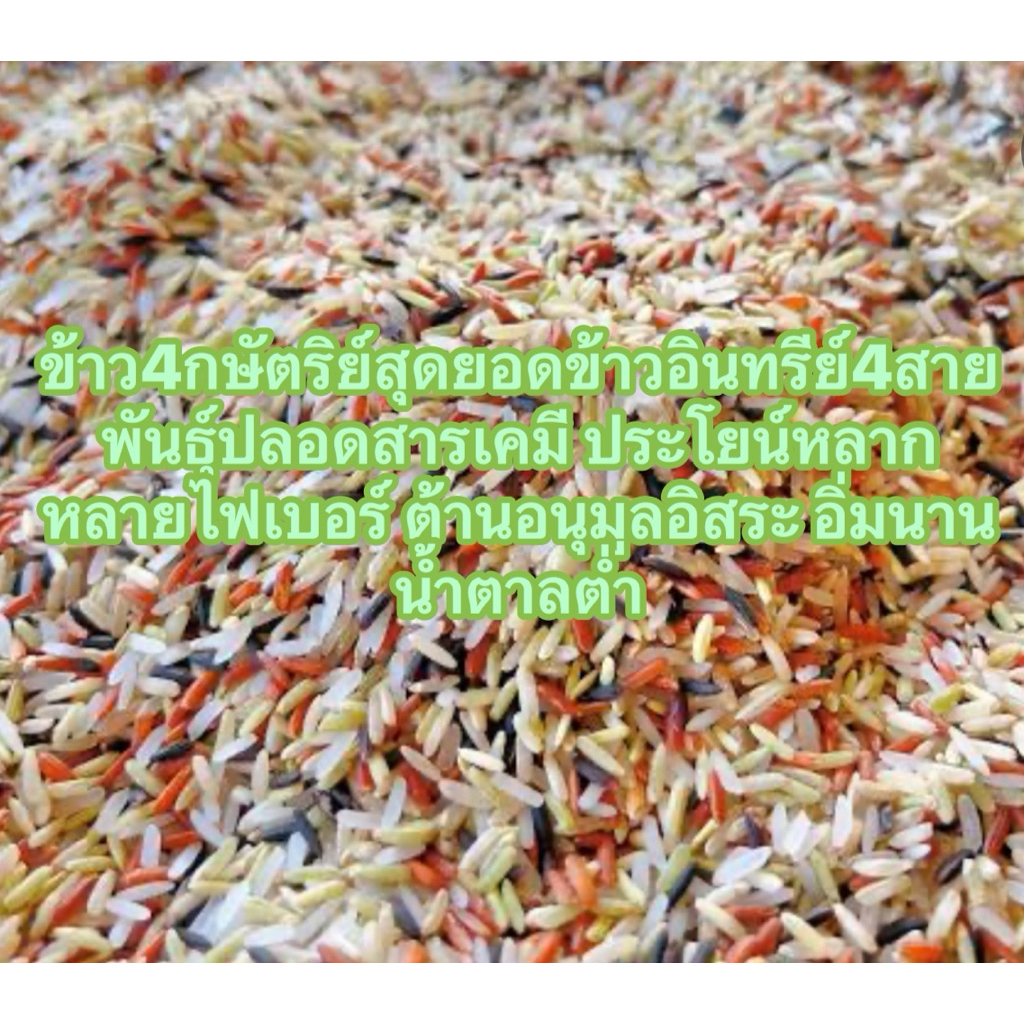 ข้าว4กษัตริย์ ข้าวกล้อง4สายพันธุ์1กิโลกรัม(ข้าวกล้องกข43)(ข้าวขาวกข43)(ข้าวไรเบอร์รี่)(ข้าวกล้องหอมมะลิแดง)
