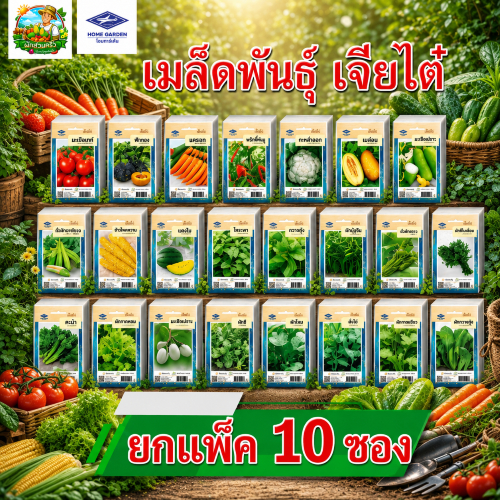 ยกแพ็ค 10 ซอง ** ถูกกว่า ** เมล็ดพันธุ์ผัก เมล็ดพืช ผักสวนครัว ตราเจียไต๋
