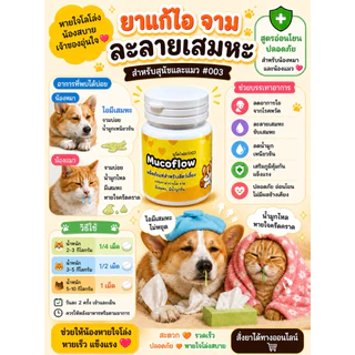 Mucoflow เสริมอาหารสุนัข แมว ไอ หวัด จาม น้ำมูกข้น (สีเหลือง)