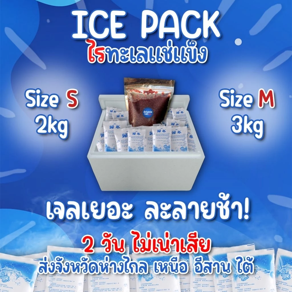 ไรทะเลแช่แข็ง ICE PACK สำหรับส่งจังหวัดห่างไกล 2 วันไม่เน่าเสีย ( จัดส่งเป็นรอบ จ พ ) ใช้โค้ดส่วนลดโค้ดส่งฟรีได้นะคะ